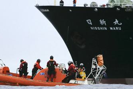 cazadores de ballenas son atacados por ballenas